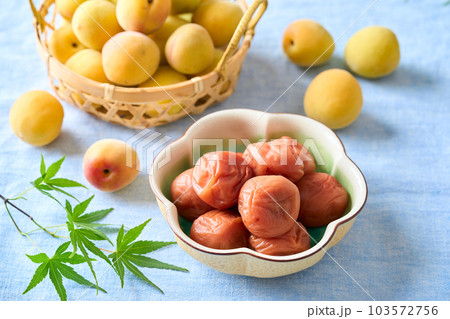 梅干しと完熟梅（紀州南高梅） 103572756