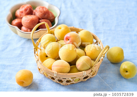 梅干しと完熟梅(紀州南高梅) 梅干しと完熟梅(紀州南高梅) 103572839