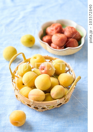 梅干しと完熟梅(紀州南高梅) 梅干しと完熟梅(紀州南高梅) 103572840