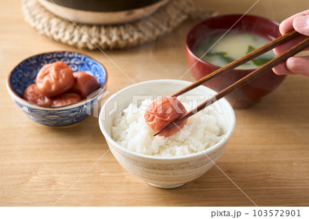 梅干しを乗せた炊きたてのご飯 梅干しを乗せた炊きたてのご飯 103572901