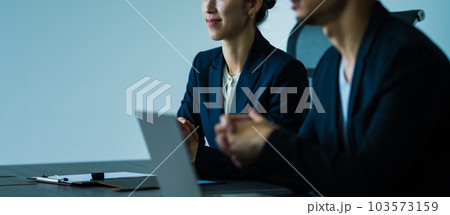 会議をするビジネスパーソン 103573159