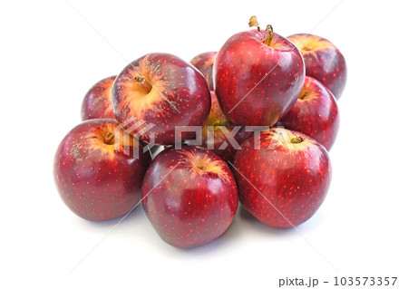 ニュージーランド産りんご PRINCE (プリンス) ニュージーランド産りんご PRINCE (プリンス) 103573357