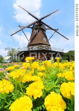 風車と花壇　【千葉県船橋市ふなばしアンデルセン公園にて】 103573979