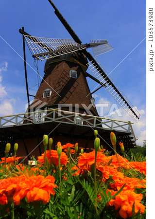 風車と花壇　【千葉県船橋市ふなばしアンデルセン公園にて】 103573980