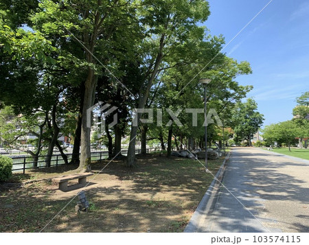富山市の富山城址公園 103574115