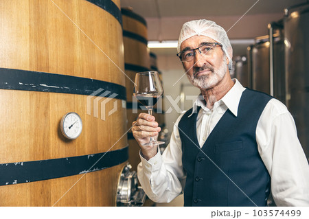 portrait professional wine expert senior staff worker work quality control check in winery factory portrait professional wine expert senior staff worker work quality control check in winery factory 103574499
