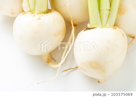 小かぶ。(白バック) 103575069