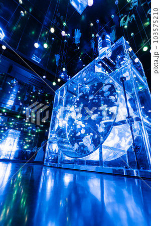 アクアパーク品川のクラゲゾーン アクアパーク品川のクラゲゾーン 103575210