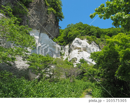 白い崖（レタル・ピラ）／北海道余市町白岩町の軽石凝灰岩 103575305