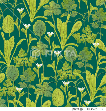 Seamless pattern with herbs. Green design with medicinal plants. 103575387
