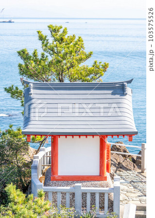 桂浜 103575526