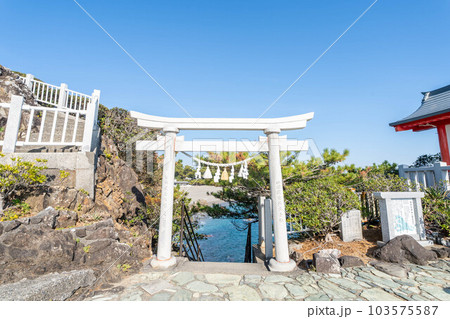 桂浜 桂浜 103575587