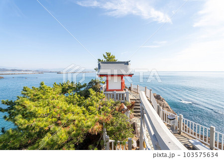 桂浜 桂浜 103575634