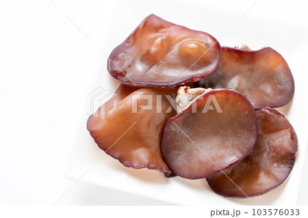 生きくらげ(アラゲキクラゲ)。(白バック) 生きくらげ(アラゲキクラゲ)。(白バック) 103576033