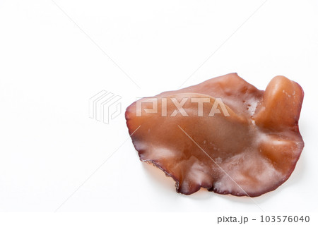 生きくらげ(アラゲキクラゲ)。(白バック) 生きくらげ(アラゲキクラゲ)。(白バック) 103576040