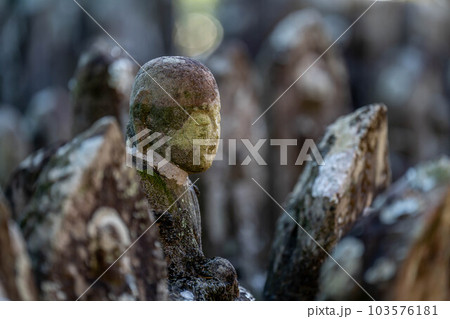 禅師峰寺 103576181