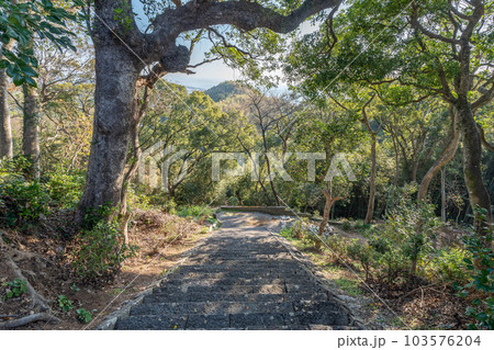 禅師峰寺 103576204
