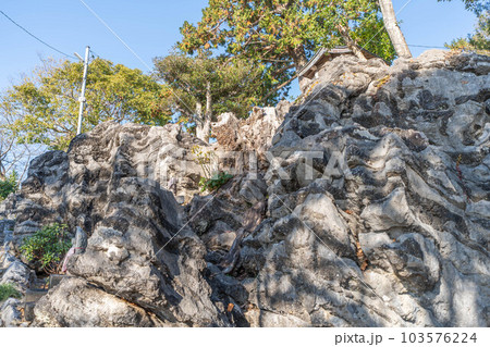 禅師峰寺 103576224