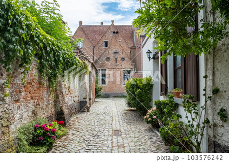 Empty Cobblestone street or laneway in the Groot Begijnhof, the large beguinage of the medieval city 103576242