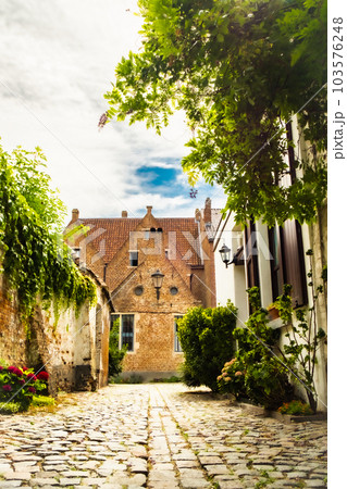 Empty Cobblestone street or laneway in the Groot Begijnhof, the large beguinage of the medieval city 103576248