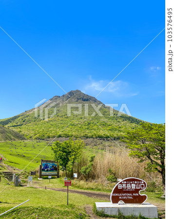 新緑の由布岳登山口から 103576495