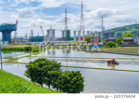 新名神高速工事現場と田植え準備の水田 103576604