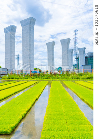 新名神高速工事現場　淀川左岸 103576618