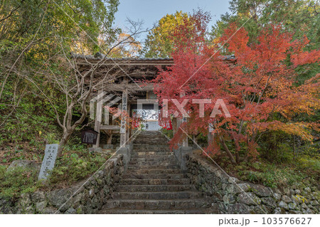 大日寺 大日寺 103576627