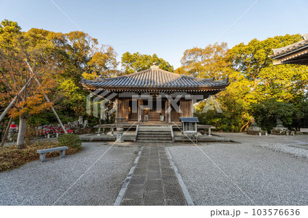 大日寺 103576636