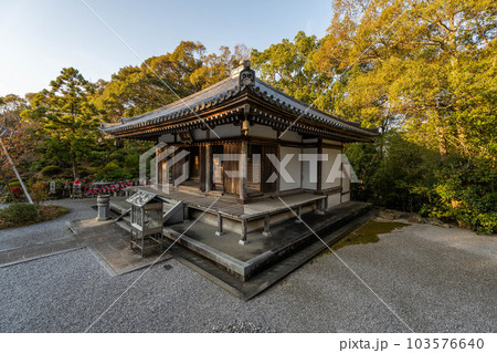 大日寺 103576640