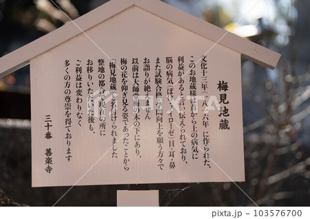 善楽寺 善楽寺 103576700
