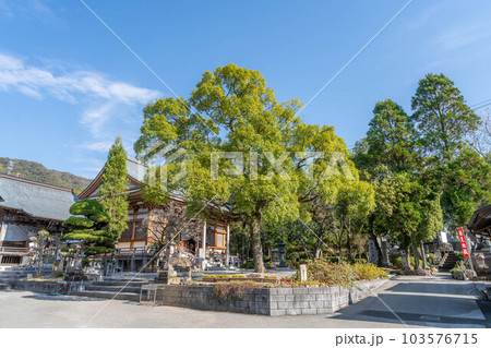 善楽寺 善楽寺 103576715