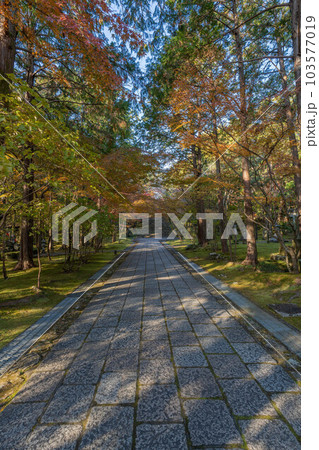 竹林寺 103577019