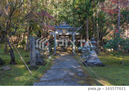竹林寺 103577021