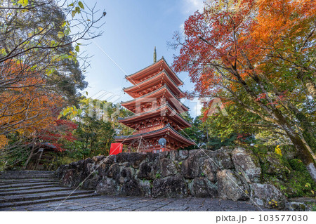 竹林寺 竹林寺 103577030
