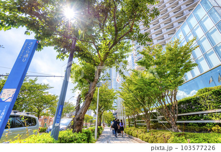 横浜みなとみらいの都市風景　さくら通り 103577226