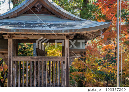 土佐神社 土佐神社 103577260