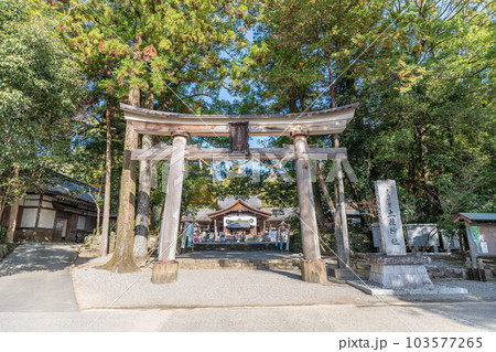 土佐神社 土佐神社 103577265