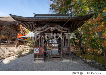 土佐神社 103577279