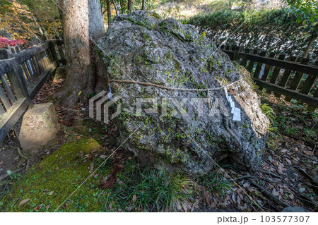 土佐神社 103577307