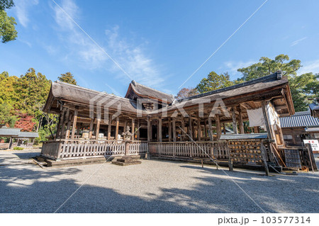 土佐神社 土佐神社 103577314