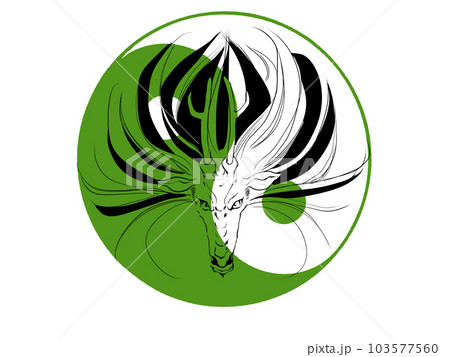 神龍と太極図 103577560