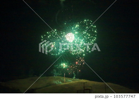 花火・若草山山焼き【奈良県奈良市】 花火・若草山山焼き【奈良県奈良市】 103577747