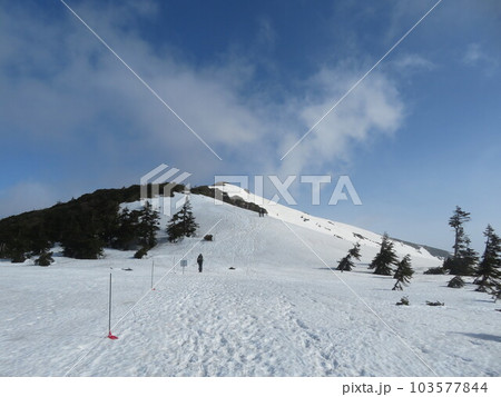 残雪期の至仏山(小至仏山へ向かう稜線) 103577844
