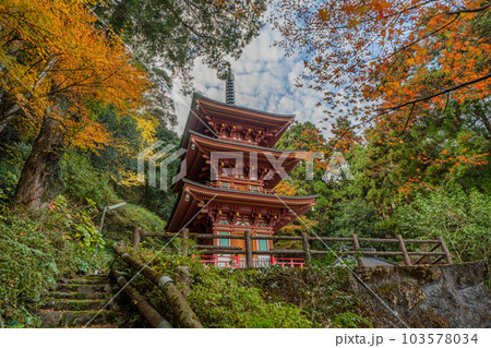 青龍寺 青龍寺 103578034