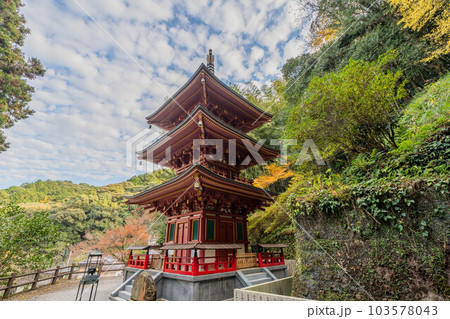 青龍寺 青龍寺 103578043