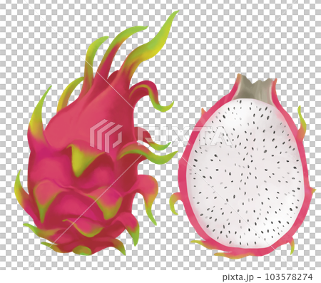 hand painted dragon fruit hand painted dragon fruit 103578274