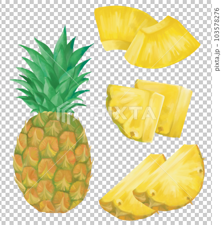 Hand-drawn various pineapples 103578276