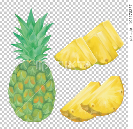 Hand-drawn various pineapples 103578277