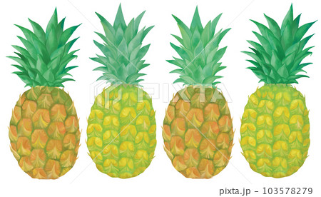 手描き　パイナップルのセット 103578279